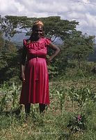 Dateiname=Kenia1986-425~0.jpg
Dateigröße=88KB
Abmessungen: 415x600
hinzugefügt am: 25. Oktober 2012 Kenia1986-425~0.jpg