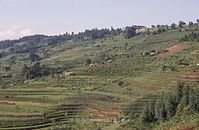 Kenia1986-501~0.jpg