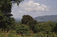 Kenia1986-504~0.jpg