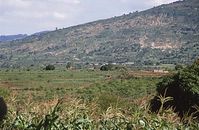 Dateiname=Kenia1986-516~0.jpg
Dateigröße=80KB
Abmessungen: 600x392
hinzugefügt am: 25. Oktober 2012 Kenia1986-516~0.jpg