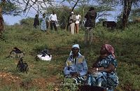 Kenia1991-074~0.jpg