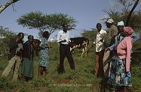 Kenia1991-075~0.jpg
