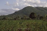 Dateiname=Kenia1991-080~0.jpg
Dateigröße=67KB
Abmessungen: 600x392
hinzugefügt am: 25. Oktober 2012 Kenia1991-080~0.jpg