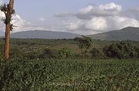 Kenia1991-081~0.jpg