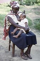 Dateiname=Kenia1992-255~0.jpg
Dateigröße=73KB
Abmessungen: 396x600
hinzugefügt am: 25. Oktober 2012 Kenia1992-255~0.jpg