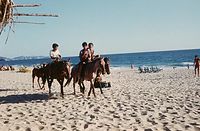 Mex---1974-21.jpg