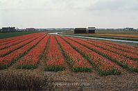NdL---1974-26.jpg