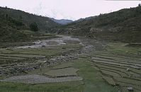 NpL1982-413.jpg