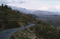 NpL1982-417.jpg