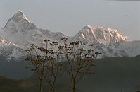 NpL1982-424.jpg