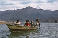 NpL1982-430.jpg