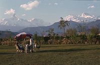 NpL1982-438.jpg