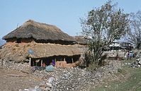 NpL1982-443.jpg