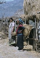 NpL1982-458.jpg