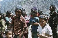 NpL1982-459.jpg