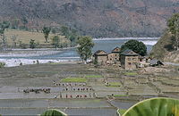 NpL1982-465.jpg