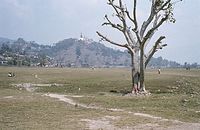 NpL1982-496.jpg