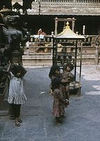NpL1982-525.jpg