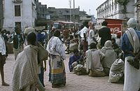 NpL1982-529.jpg