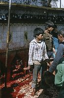 NpL1982-546.jpg