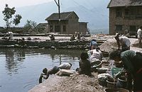 NpL1982-570.jpg
