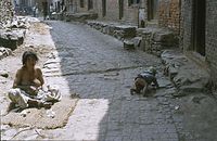NpL1982-572.jpg