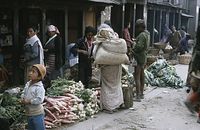 NpL1982-788.jpg