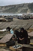 PRT-1963-Ha-201.jpg