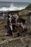 PRT-1963-Ha-215.jpg