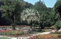 PRT-1963-Ha-237.jpg