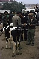 PRT-1963-Ha-246.jpg