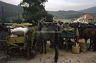 PRT-1963-Ha-247.jpg