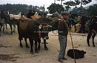 PRT-1963-Ha-248.jpg
