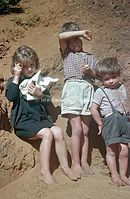 PRT-Madeira-1968-ha-16.jpg