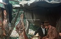 PRT-Madeira-1968-ha-21.jpg