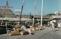PRT-Madeira-1968-ha-36.jpg
