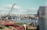 Dateiname=PRT-Madeira-1968-ha-49.jpg
Dateigröße=78KB
Abmessungen: 600x392
hinzugefügt am: 23. Oktober 2012 PRT-Madeira-1968-ha-49.jpg