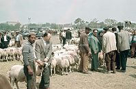 TUR-1961-Ha-34.jpg