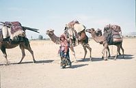 Dateiname=TUR-1969-110.jpg
Dateigröße=43KB
Abmessungen: 600x389
hinzugefügt am: 23. Januar 2012 TUR-1969-110.jpg