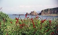 Taiwan-1974-158.jpg