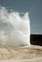 USA-Geyser-1978-Ha-03.jpg
