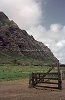 USA-Hawaii-1966-Ha-06.jpg