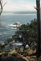 USA-Monterey-1978-Ha-02.jpg