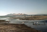 USA-SaltLake-1978-Ha-01.jpg