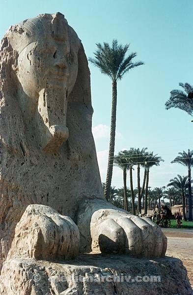 1966. Afrika. Egypt. Ägypten. Sphinx