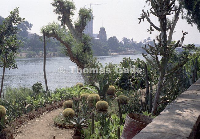 September 1982. Ägypten. Kairo. Fluss Nil