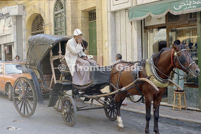 September 1982. Ägypten. Alexandrien. Alexandria. Kutsche mit Pferd