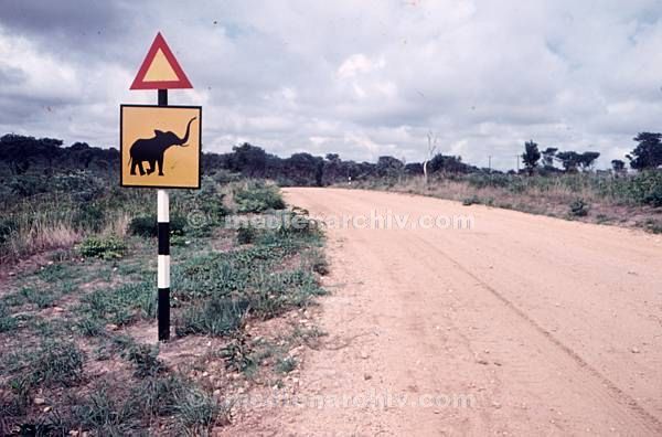um 1975. Afrika. Simbabwe. Zimbabwe. bis 1980 südliches Rhodesien. Verkehrsschild. Warnung vor Elefanten