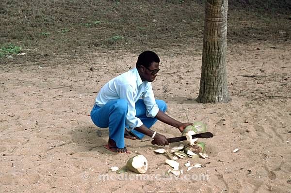 1975. Südafrika. Mann öffnet Kokosnuss mit einer Machete