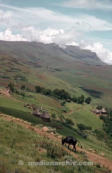 1975. Südafrika.